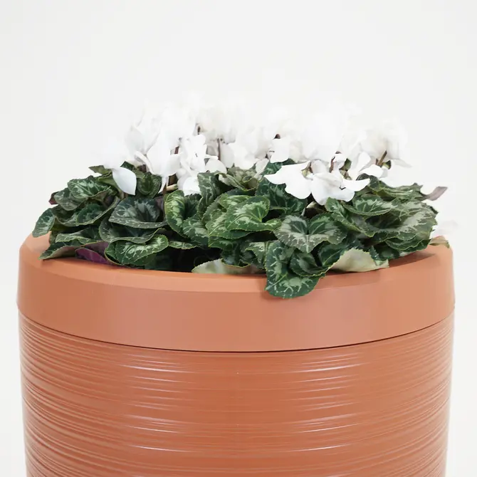 Vita Regenton Gobi terracotta 240L + Kraan met Gardena koppeling + Plantenbak - afbeelding 3