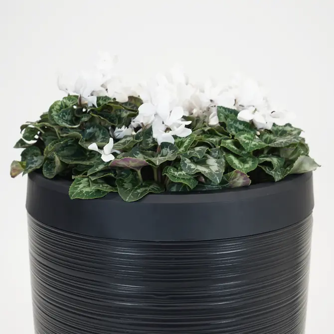 Vita Regenton Gobi zwart 240L + Kraan met Gardena koppeling + Plantenbak - afbeelding 3