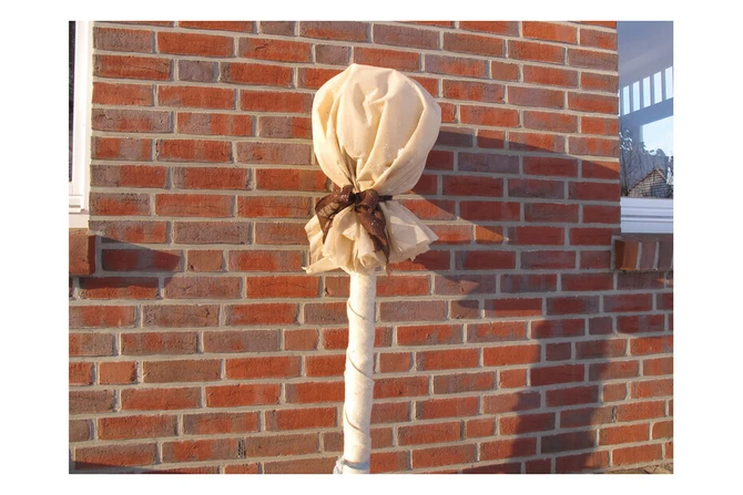 Vliesdoek 17g h150xl500 beige 2st sfeer, Videx, Tuincentrumoutlet.com