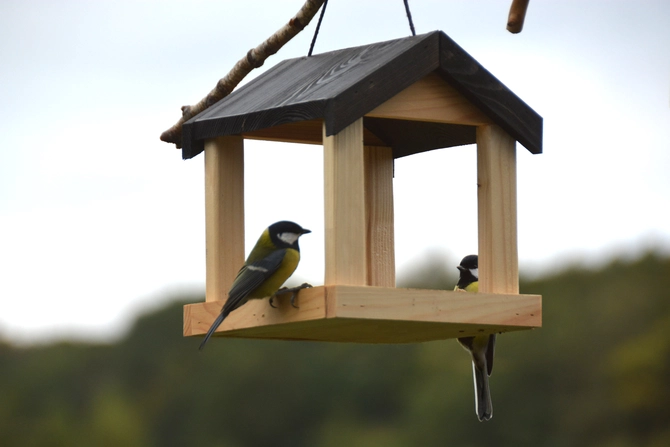 Voederhuis hangend l21b6h23cm 1.4, Esschert design, Tuincentrumoutlet