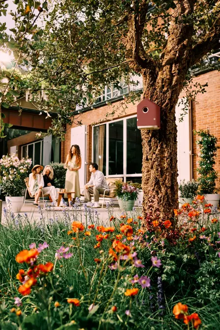 Vogelhuis cosy 18cm toscaans rood - afbeelding 7