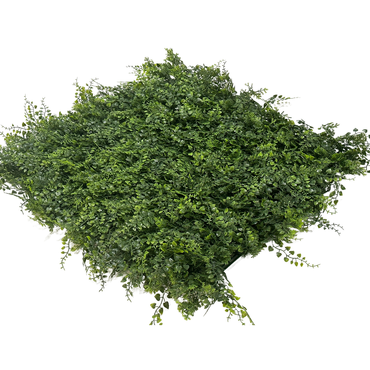 Wandplant l1b1m fern-mix2 per m2 schuin, Easy Lawn, tuincentrumoutlet