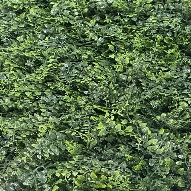 Wandplant l1b1m fern-mix2 per m2 detail, Easy Lawn, tuincentrumoutlet