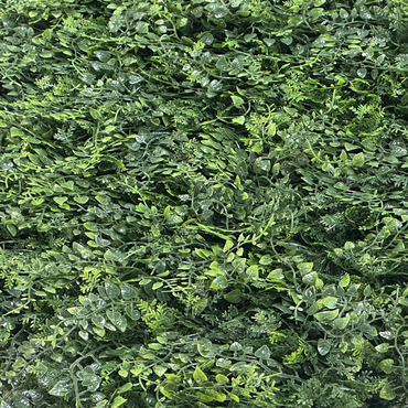 Wandplant l1b1m fern-mix2 per m2 detail, Easy Lawn, tuincentrumoutlet