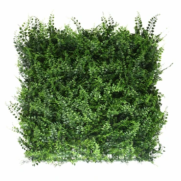 Wandplant l1b1m fern-mix2 per m2, Easy Lawn, tuincentrumoutlet