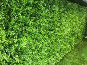 Wandplant l1b1m fern-mix2 per m2 sfeer2, Easy Lawn, tuincentrumoutlet