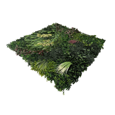 Wandplant l1b1m forest-mix8 per m2 schuin, Easy Lawn, tuincentrumoutlet