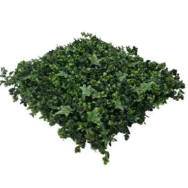 Wandplant hydranchea schuin, Easy Lawn, tuincentrumoutlet