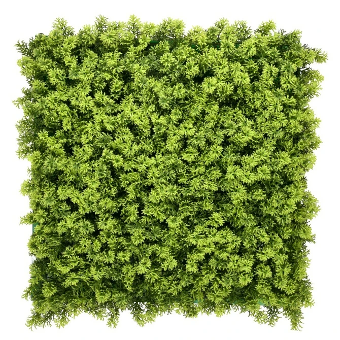 Wandplant l1b1m moss-mix2 per m2, Easy Lawn, tuincentrumoutlet