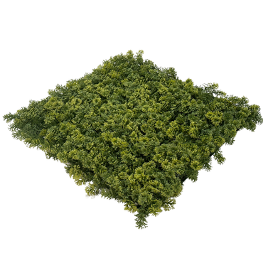 Wandplant l1b1m moss-mix2 per m2 schuin, Easy Lawn, tuincentrumoutlet