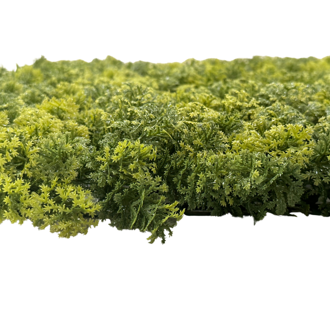 Wandplant l1b1m moss-mix2 per m2 zij, Easy Lawn, tuincentrumoutlet