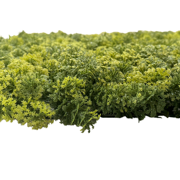 Wandplant l1b1m moss-mix2 per m2 zij, Easy Lawn, tuincentrumoutlet