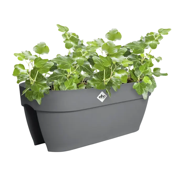 Wandpot vibia camp flow br l60 antr sfeer, Elho, tuincentrumoutlet