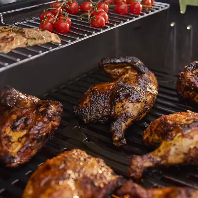 Genesis E-435 sfeer, Weber, tuincentrumoutlet.com