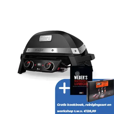 Weber Pulse 2000 - afbeelding 1