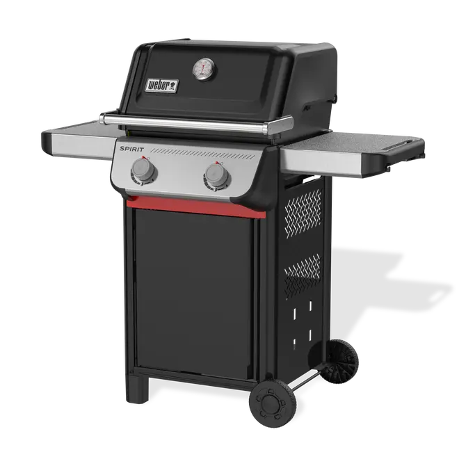 Spirit e-210, weber, tuincentrumoutlet