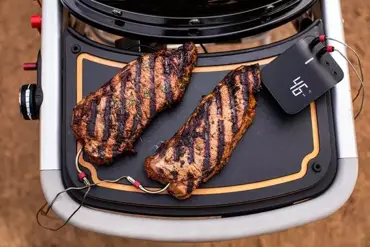 Weber Traveler Snijplank sfeerbeeld zwart vlees, Weber, Tuincentrum Outlet