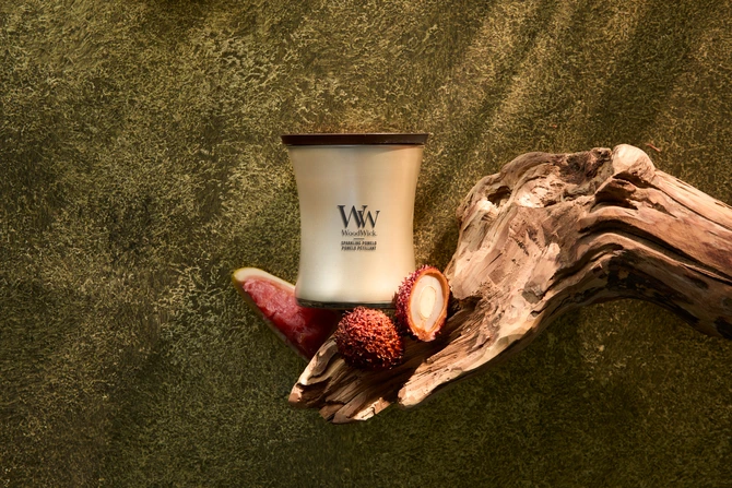 WW Sparkling Pomelo Medium Candle - Champagne sfeer, Woodwick, tuincentrumoutlet.com