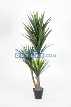 Yucca h160cm groen, Noach, www.tuincentrumoutlet.com