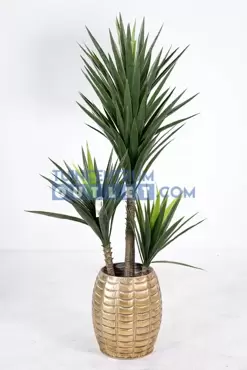 Yucca h160cm groen, Noach, www.tuincentrumoutlet.com