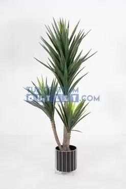 Yucca h160cm groen, Noach, www.tuincentrumoutlet.com