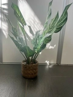 Zebra i/pot h45cm, Noach, www.tuincentrumoutlet.com