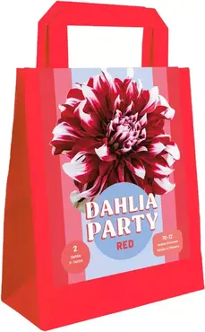 Zk dahlia party red 1st, Jub Holland, Tuincentrum Outlet