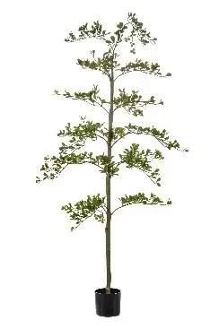 Zwarte olijfboom in pot h55cm groen, Emerald, tuincentrumoutlet.com
